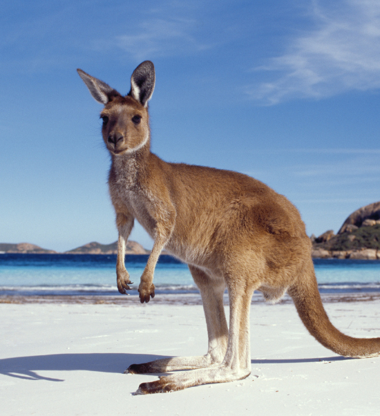 Australia Tour Packages